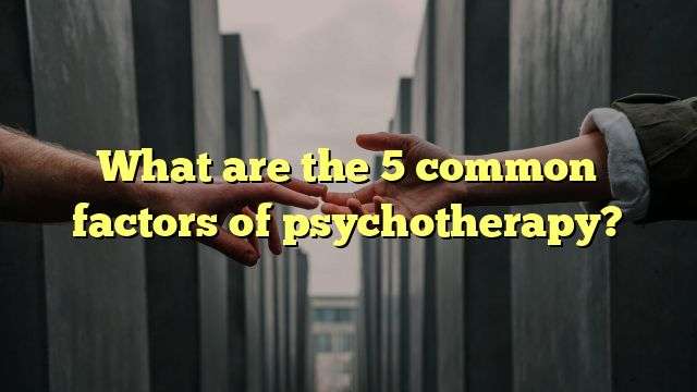 What are the 5 common factors of psychotherapy?