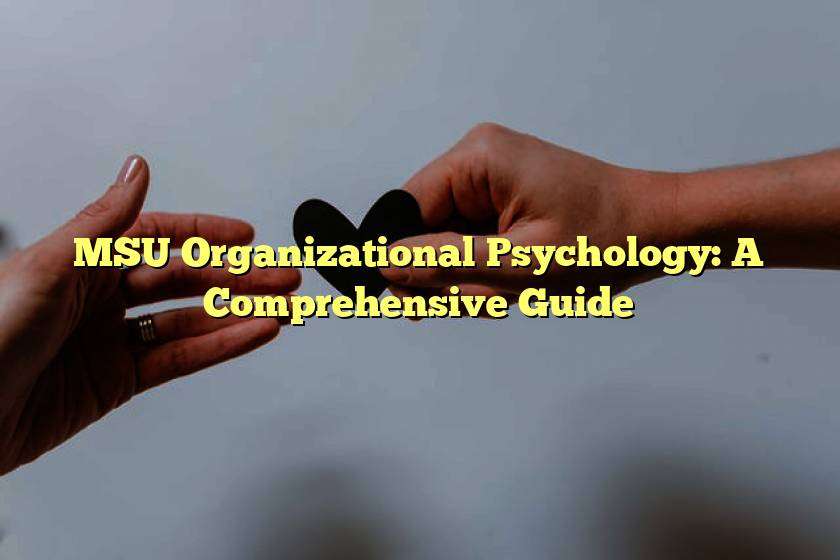 MSU Organizational Psychology: A Comprehensive Guide